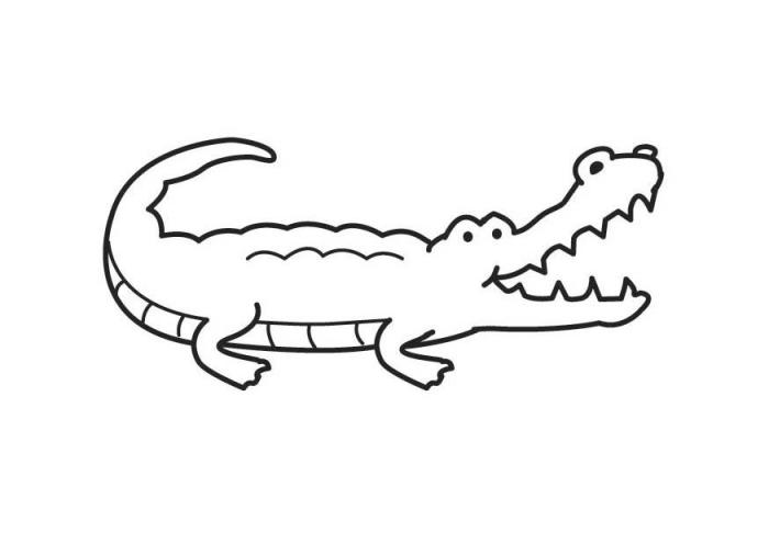 disegno coccodrillo camillo da colorare terbaru