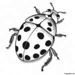 Ladybug Coloring Pages 9 1