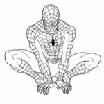 spiderman disegni colorati da stampare terbaru