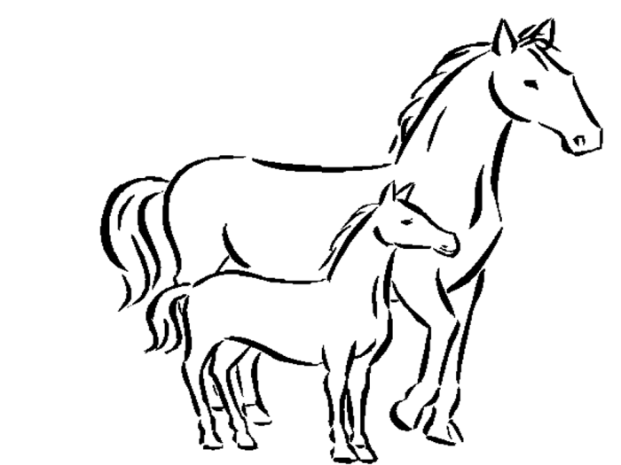 Disegni da colorare dei cavalli