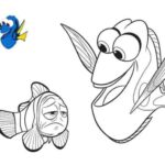 Dory E Nemo 3