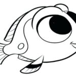 Ryba Nemo 1024×683 1